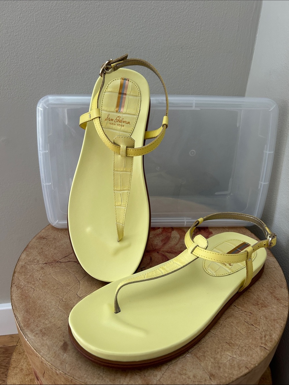Sam Edelman T-Strap Leather Sandals